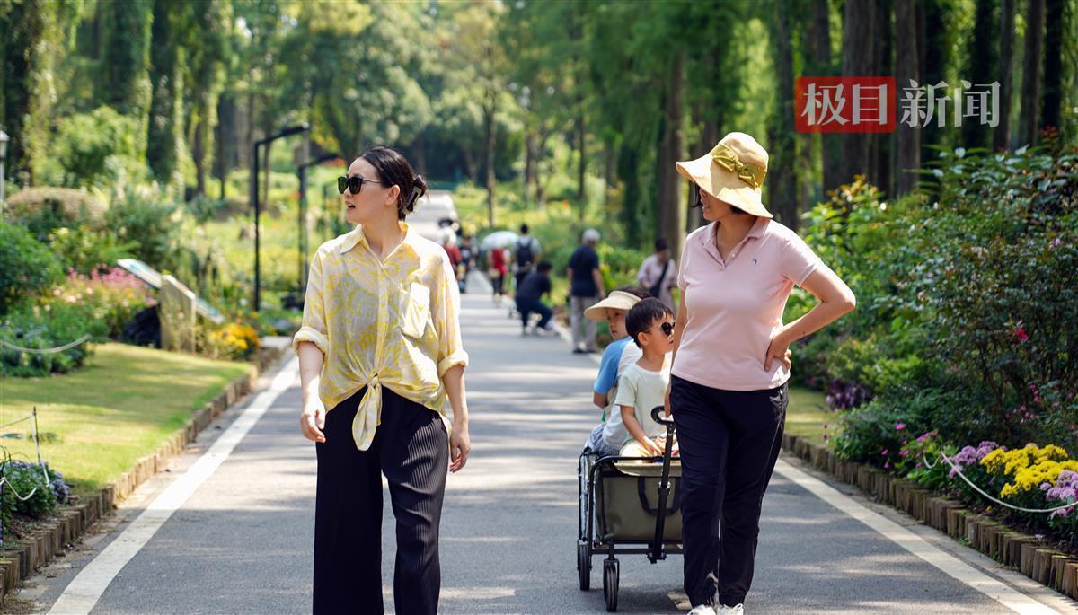新京葡官网