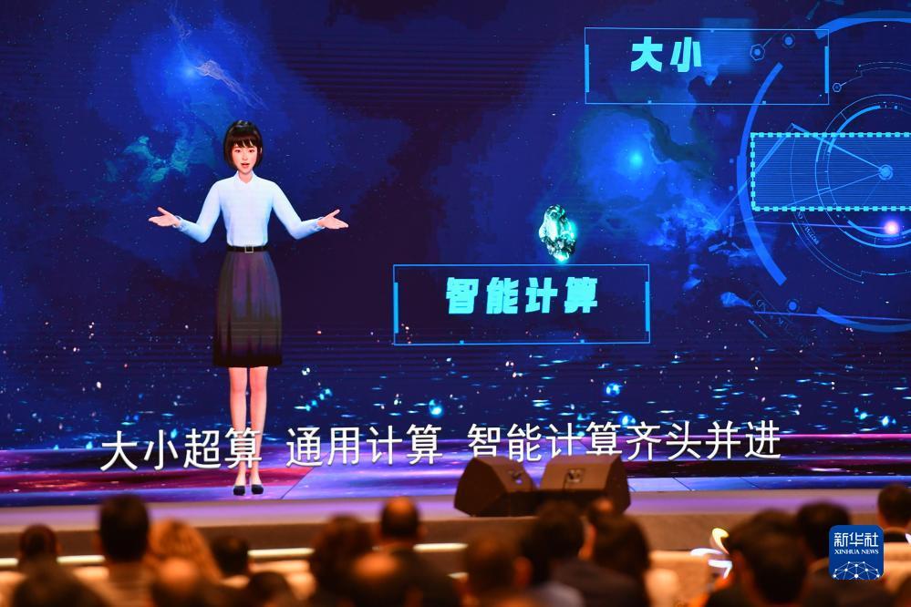 彩金娱乐网白菜